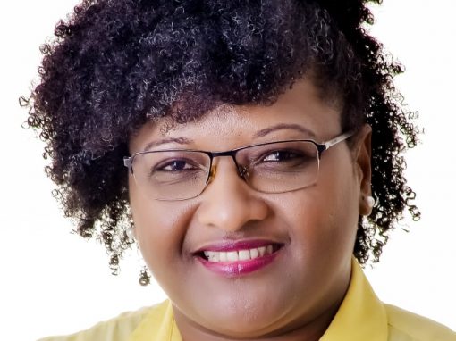 Professora Regina | Itajaí – SC