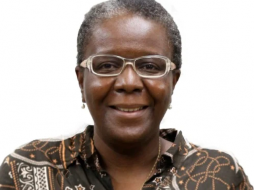 Professora Cristiana | Juiz de Fora – MG